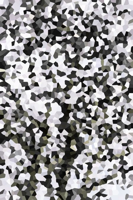 Winter abstract of tree covered with snow in northern Illinois