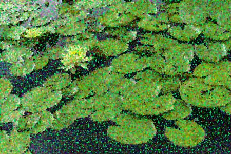 Pointillized lily pads with water lily on a pond