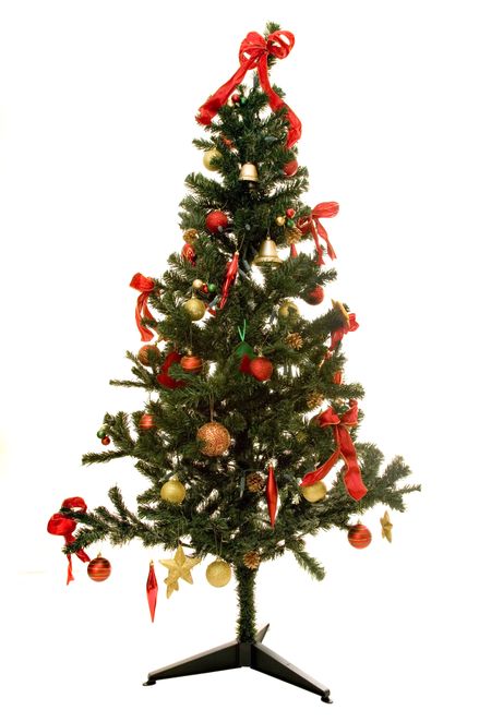 christmas tree isolated on a white background