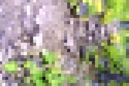 Mosaic abstract with woodland colors