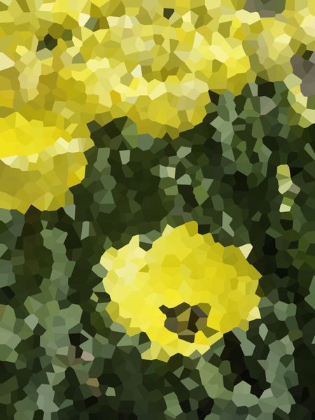 Crystallized abstract of yellow tulips in spring garden