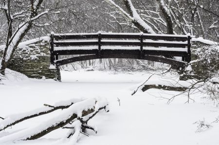 Wintry crossing in woods: Footbridge across a stream covered with snow in a winter snowstorm, with a fallen tree in foreground, in northern Illinois, USA, at the start of January