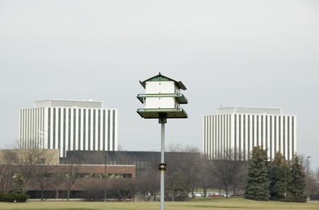 Location, location, location -- birdhouse in foreground, office buildings in background
