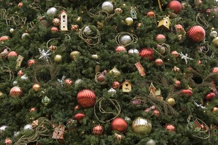 Close-up of huge outdoor Christmas tree with many ornaments