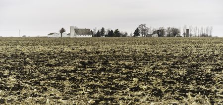 Agricultural landscape after harvest: Flattened cornfield under a wintry sky, with farm buildings and trees in the background, northern Illinois in November