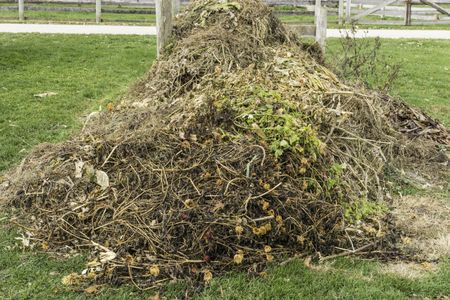 Recycling at a glance: Compost heap, with remains of vegetable and flower garden, beginning to decompose in autumn on a farm in northern Illinois