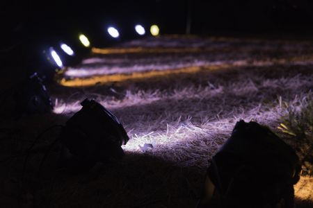 Arrangement of floodlights on lawn for synchronized displays of trees at night (selective focus and shallow depth of field)
