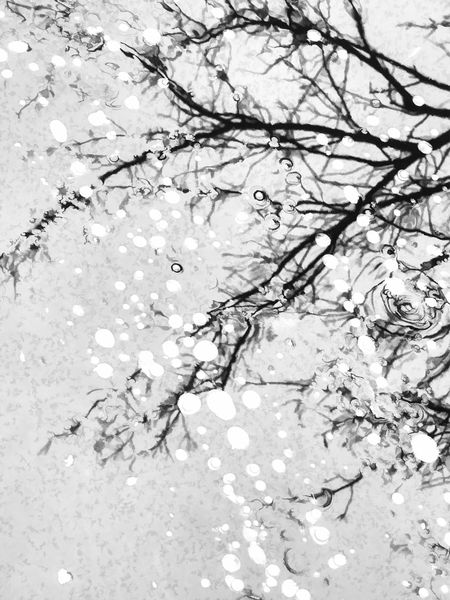 Winter at a glance: Painterly illustration of bare tree reflected by icy surface of stream with frozen bubbles, in black and white