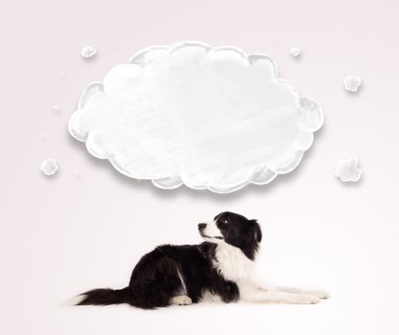 Cute black and white border collie with empty cloud above her head