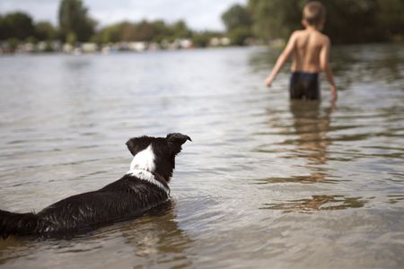 Young boy swimming at the lake while his dog watches and worries.