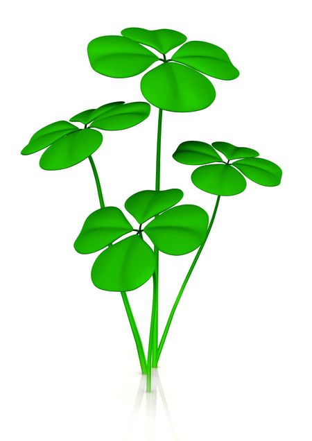 green clovers over a white background