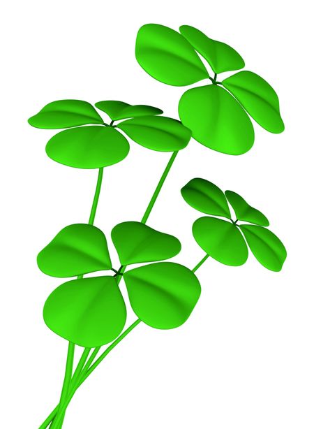 lucky clovers over a white background