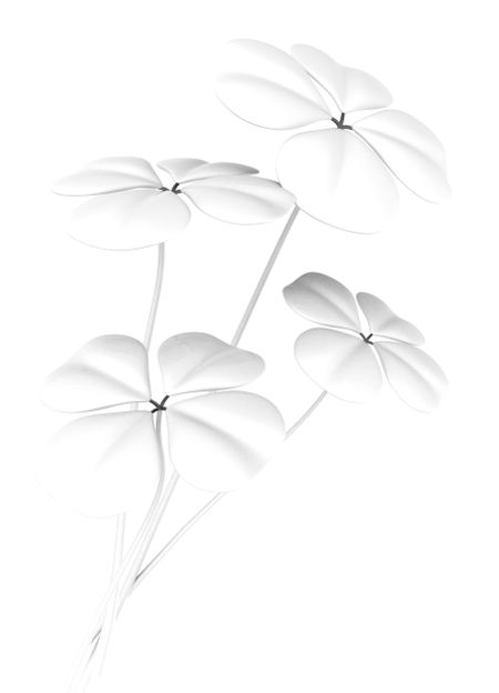 four leaf clovers in white made in 3d