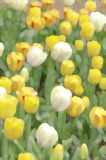 Bright abstract of garden tulips in spring
