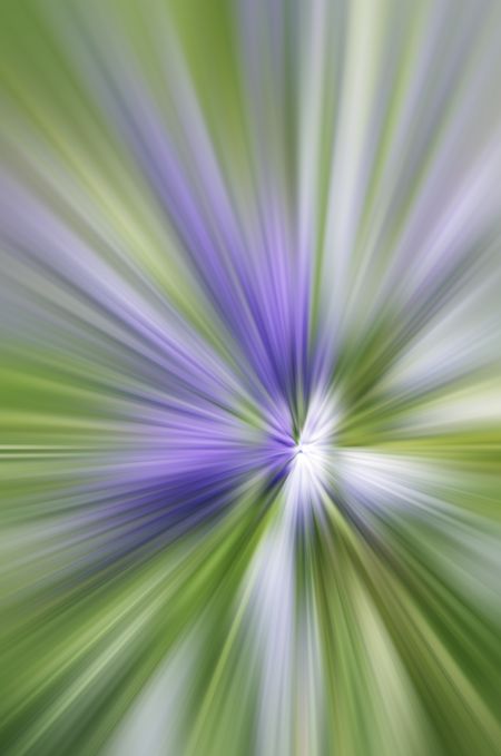 Radial blur of grape hyacinth in spring garden, for themes of nature or perception in decoration and background
