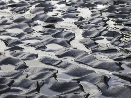Nature abstract: Pattern of small pools from tidal waves across sand on a beach in the Olympic Peninsula of Washington State, USA