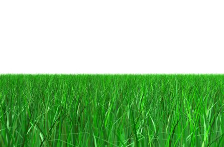 green grass over white made in 3d