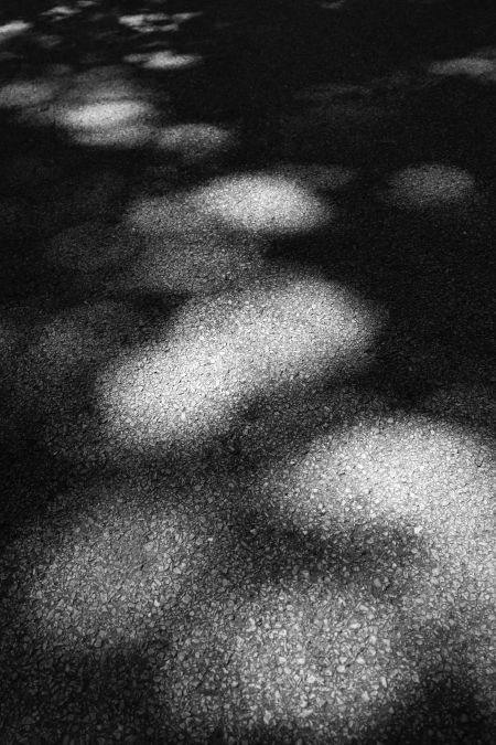 Puddle effect in summer: Part of dappled asphalt road through woods in northern Illinois, USA (black and white)