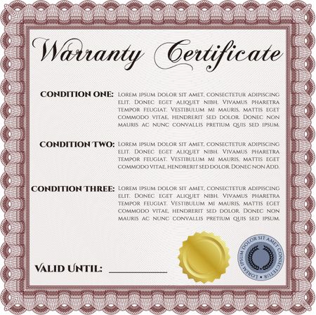 Warranty Certificate. Complex border design. With complex background. Vector illustration. 