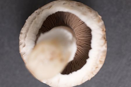 Fresh raw chestnut mushrooms on black slate