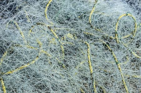 Entanglement at a glance: Rope caught up in a lot of monofilament fishnet on a dock in Maine