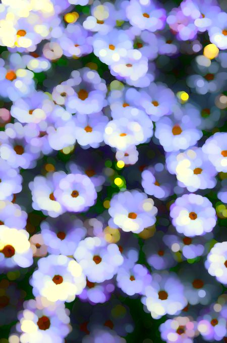 Varicolored abstract of flowers in summer garden, for decoration and background