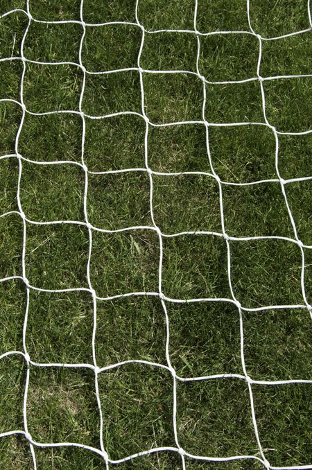 Soccer net on grass