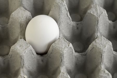 White egg in otherwise empty cardboard carton