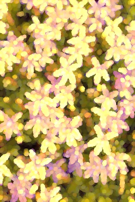 Abstract illustration of pale yellow star-shaped flowers for decoration or background