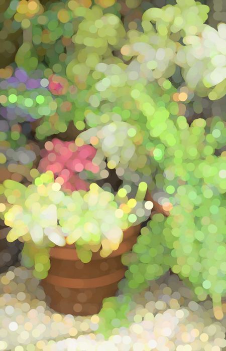 Multicolored abstract of garden arrangement of ornamental foliage in spring