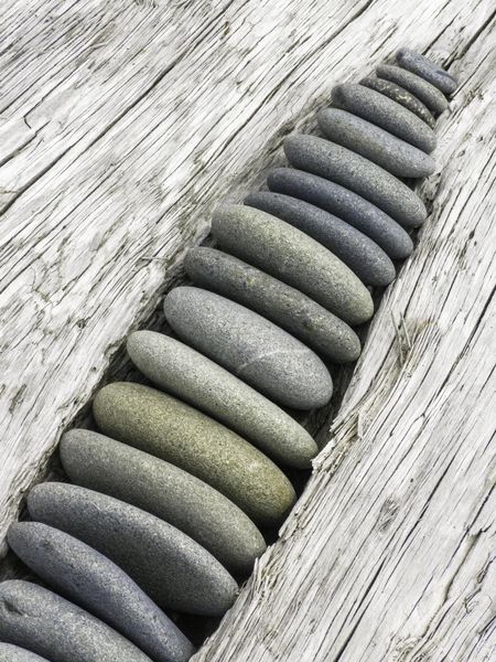 Arrangement by anonymous beachgoer: Small rocks, rounded by ocean waves, sorted by size and wedged into a gap in driftwood on a beach in the Olympic Peninsula of Washington State