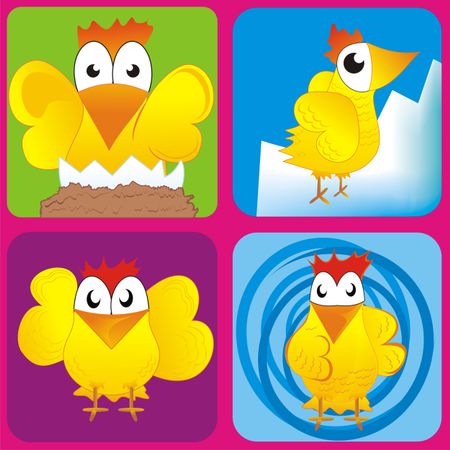 Chicken illustration in squared colourful backgrounds