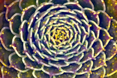 Multicolored abstract of succulent plant with motifs of radial symmetry, patterned growth, and microscopic complexity for decoration or background