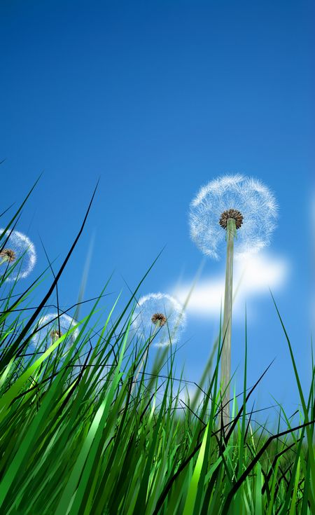 grass and flowers with a blue sky - illustration made in 3d