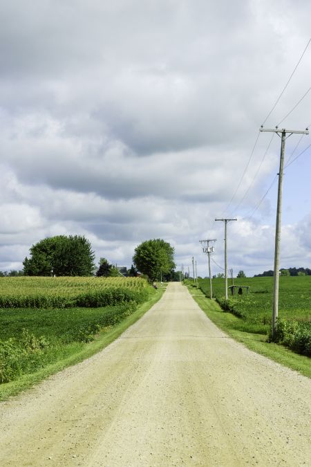 Country road, August in northern Indiana
