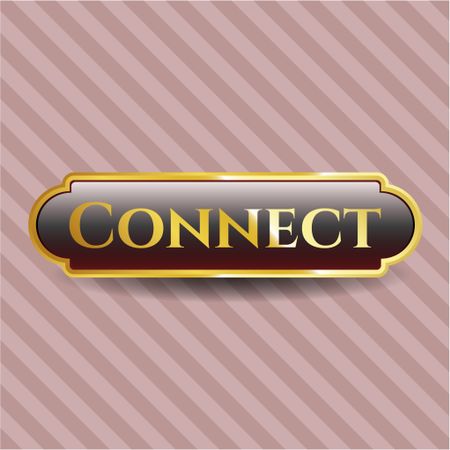 Connect gold badge or emblem
