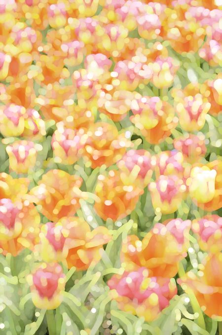 Bright multicolored abstract of tulips in springtime, with many pastels, for decoration and background