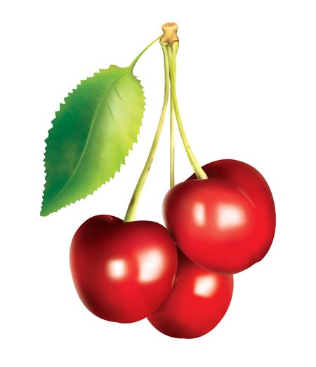 bunch of cherries isolated over a white background