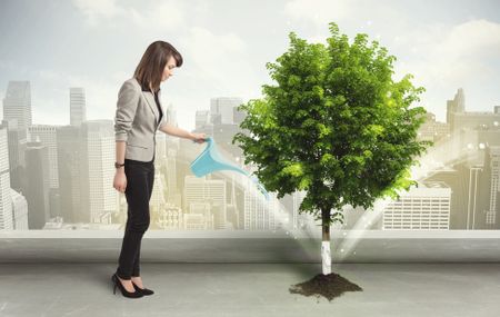 Businesswoman watering green tree on city background concept