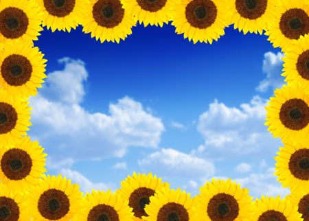 Beautiful sunflower frame with the sky in the background