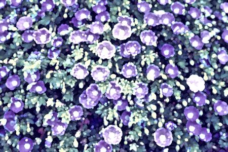 Decorative spring abstract: Illustration of geraniums in an ornamental garden