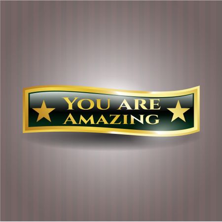 You are Amazing gold badge