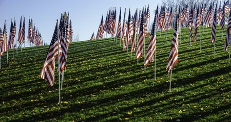 Display of many American flags (for observation of a federal holiday) with long parallel shadows early in the morning