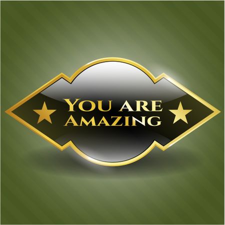 You are Amazing gold badge or emblem