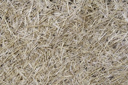 Lawn repair: straw held in place with fine mesh netting hides grass seedlings
