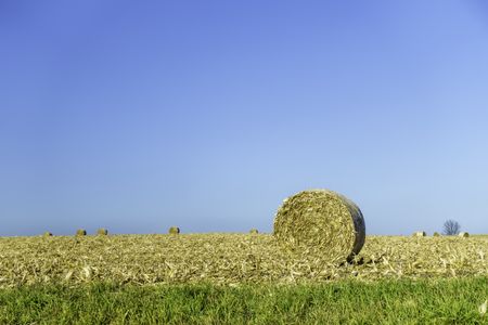 Ready for pickup: Round bale of hay on a harvested field, with similar bales on the horizon, on a sunny afternoon in autumn, with plenty of copy space in clear blue sky