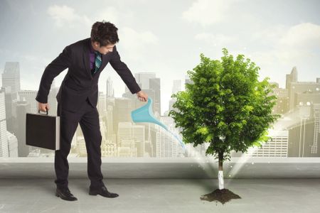Businessman watering green tree on city background concept