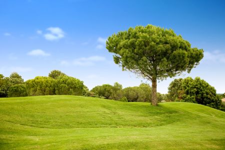 beautiful outdoor landscape in the countryside on a sunny day