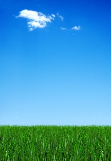 green grass and blue sky illustration