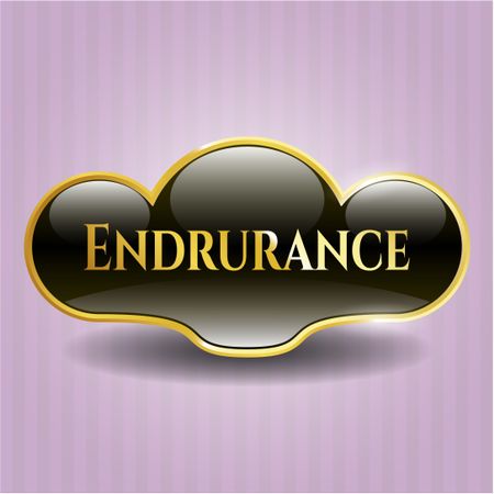 Endurance gold badge or emblem